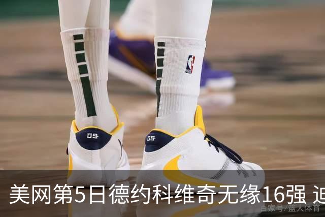 美网第5日德约科维奇无缘16强 迪米卢布列夫会师